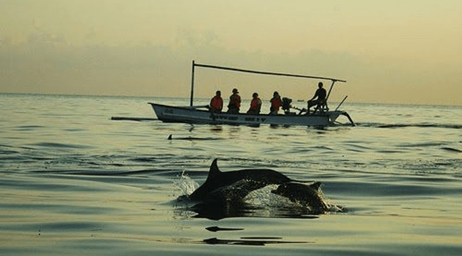 Transport from Kuta to Lovina