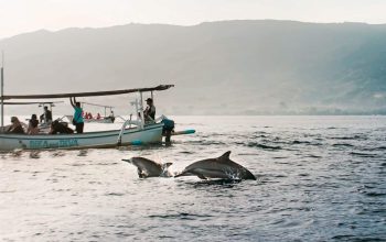 Lovina Dolphin Tour