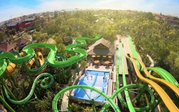 Top Activities for Kids in Bali