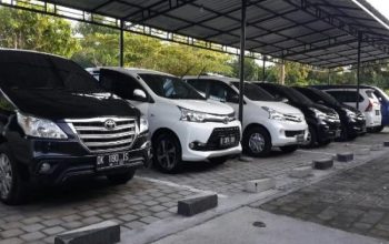 Full Day Taxi in Bali