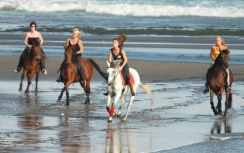 Bali Horse Riding and Rafting Package