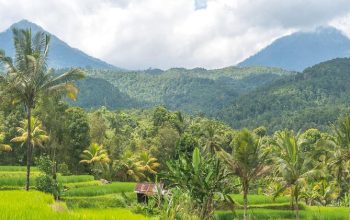 Transport from Canggu to Munduk