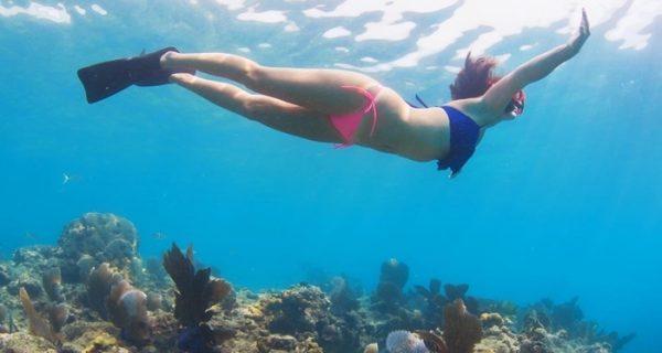 Menjangan Island Snorkeling Packag