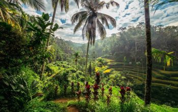 Transfer from Denpasar Airport to Ubud