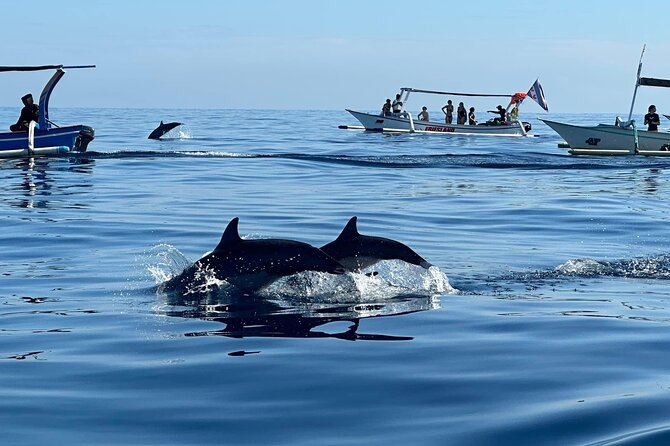 Ubud to Lovina Dolphin Tour