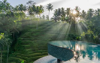 Transfer from Lovina to Ubud