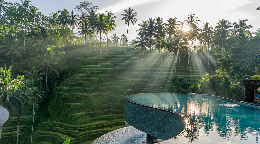 Transfer from Lovina to Ubud
