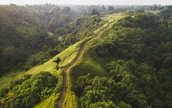 Fun Tourist Activities Around Ubud