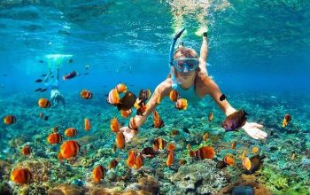 Natural Snorkeling Spots in Bali