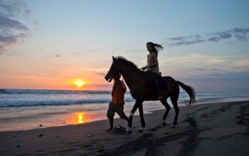 Exciting Activities for Teen Travelers in Bali