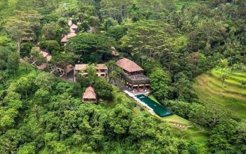 Transfer from Bali Airport to Payangan