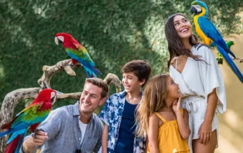 Paket Liburan Ke Bali Untuk Keluarga