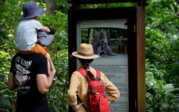 Budget Liburan ke Bali Bersama Keluarga