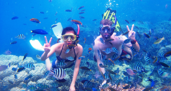 Snorkeling Pulau Menjangan Bal