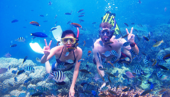 Snorkeling Pulau Menjangan Bal