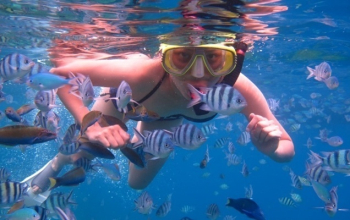 Snorkeling Pulau Menjangan