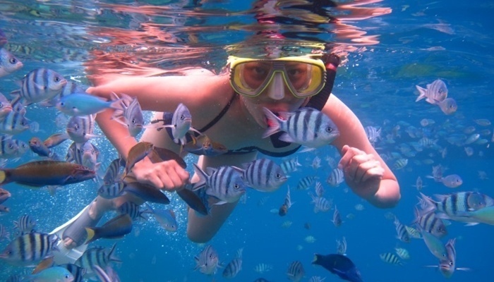 Snorkeling Pulau Menjangan