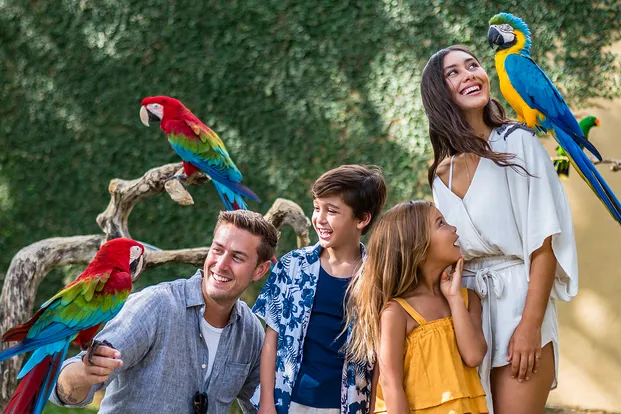 Paket Liburan Ke Bali Untuk Keluarga