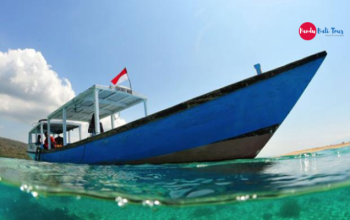 Jenis Perahu untuk Nyebrang Ke Pulau Menjangan