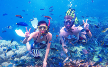 Snorkeling Pulau Menjangan Bal