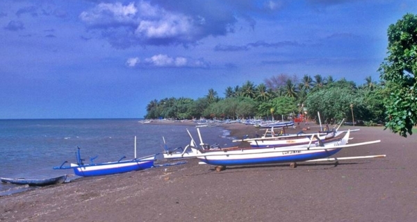 Transfer from Denpasar Airport to Lovina