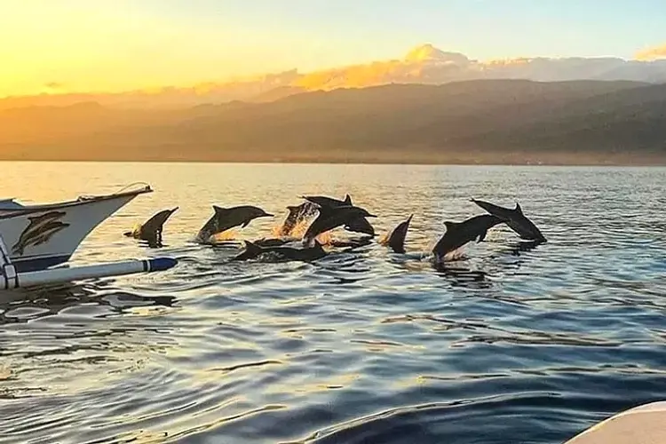 Transfer from Padang Bai to Lovina