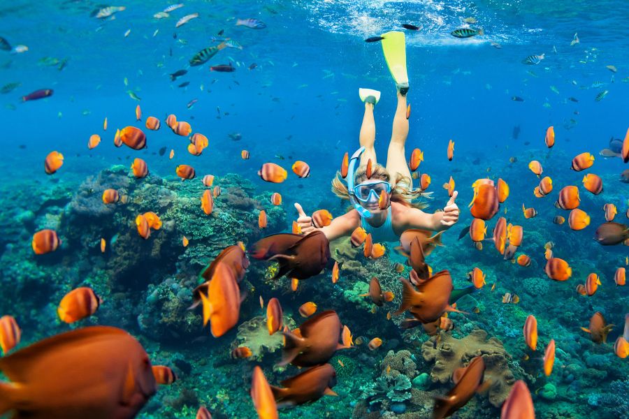 Menjangan Island Snorkeling Package