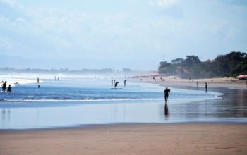 Car Rental in Seminyak with Driver