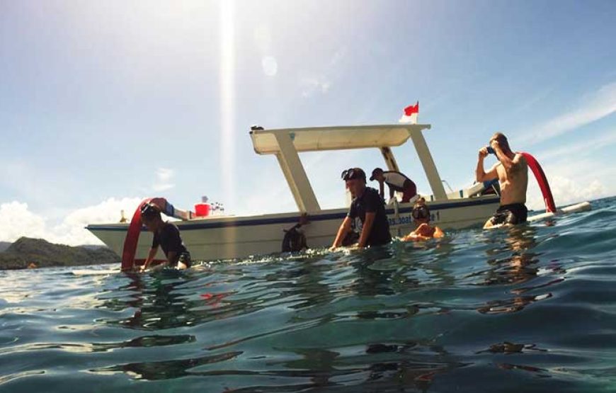 Snorkeling in Blue Lagoon Bali
