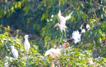 Erstaunliche Orte rund um die Tegalalang-Reisterrassen