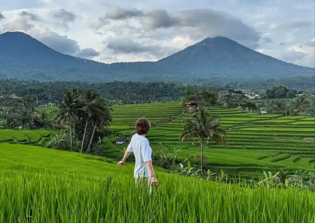 Day Trip From Ubud To Jatiluwih