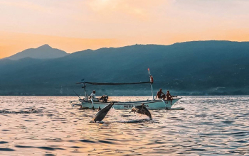 Entfernung von Sanur nach Lovina