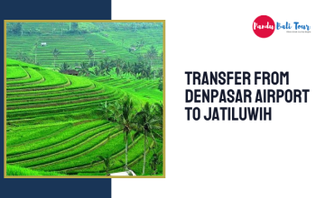 Transfer vom Flughafen Denpasar nach Jatiluwih