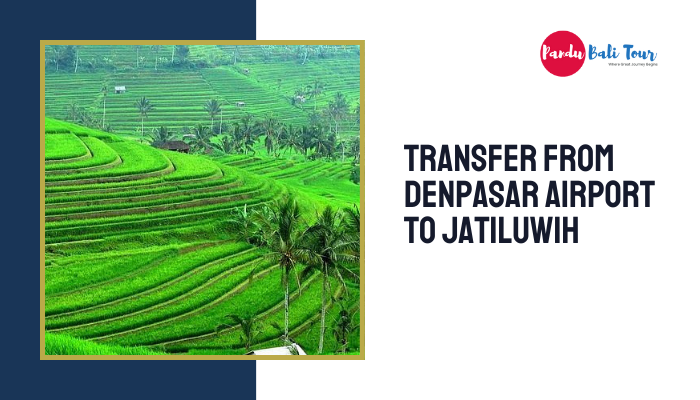 Transfer From Denpasar Airport To Jatiluwih