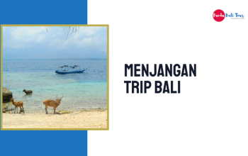 Menjangan Trip Bali