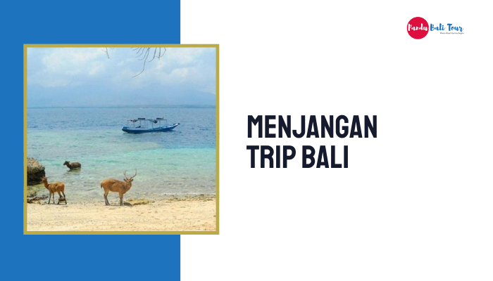 Menjangan Trip Bali