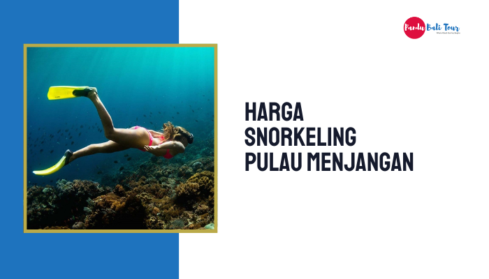 Harga Snorkeling di Pulau Menjangan