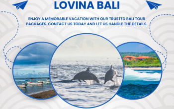 Paket Dolphin Lovina Bali
