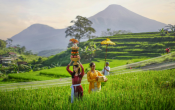 Bali Cultural Tour Packages with Temple Visits
