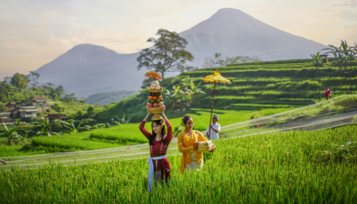 Bali Cultural Tour Packages with Temple Visits
