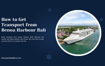 Private Transport from Benoa Cruise Port Bali