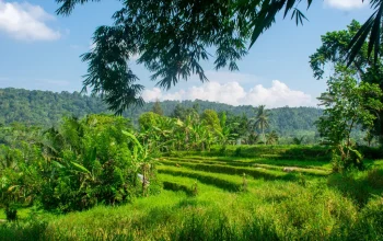 Transfer From Uluwatu To Sidemen