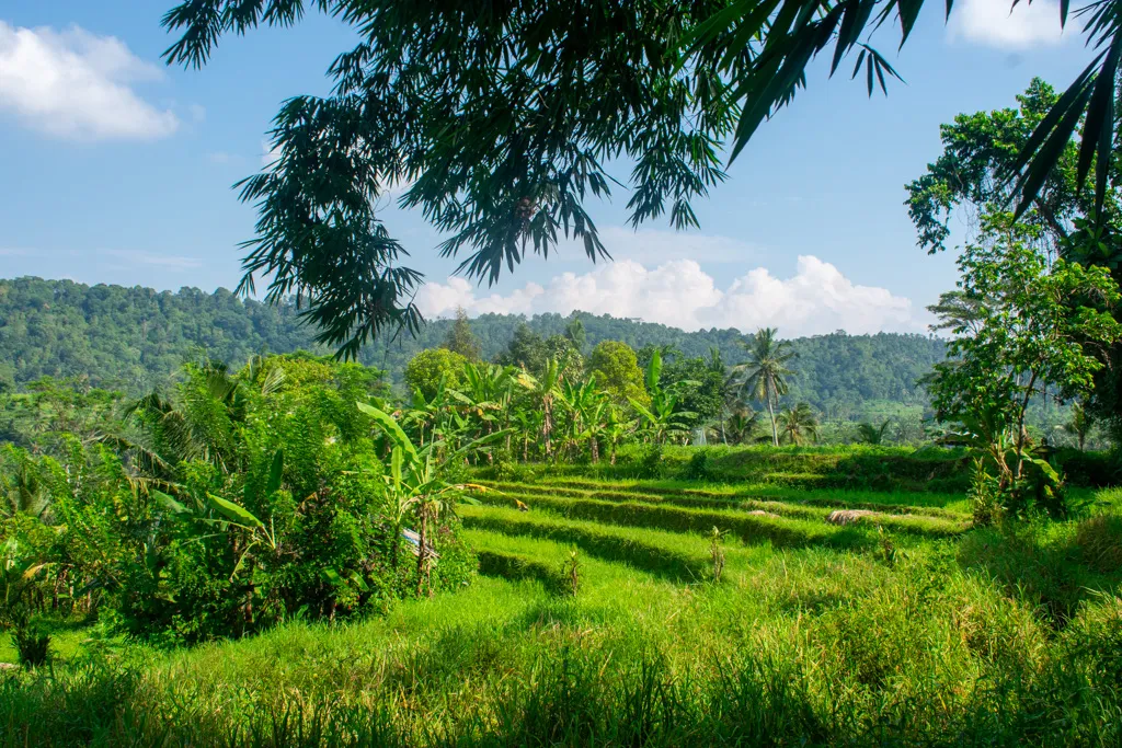 Transfer From Uluwatu To Sidemen